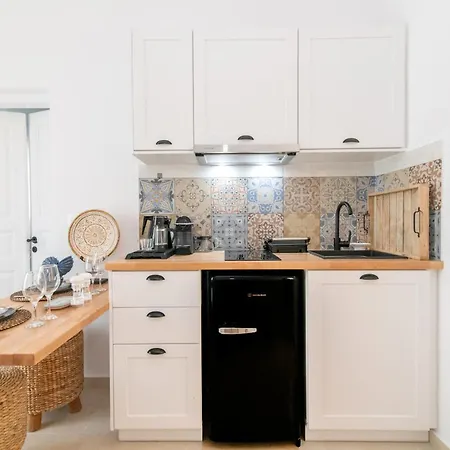 Anemis Apartment Tinos